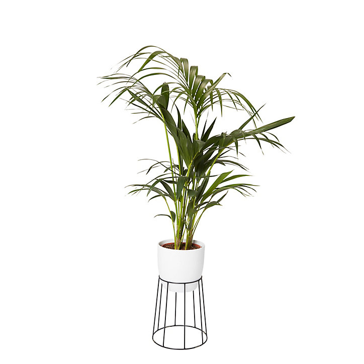 Pot rond céramique blanc ø19 cm