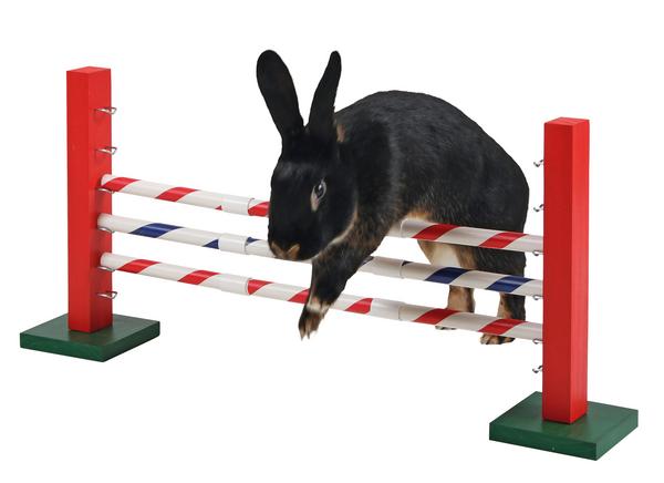 KERBL Agility Nagerspielzeug Steilsprung, ca.