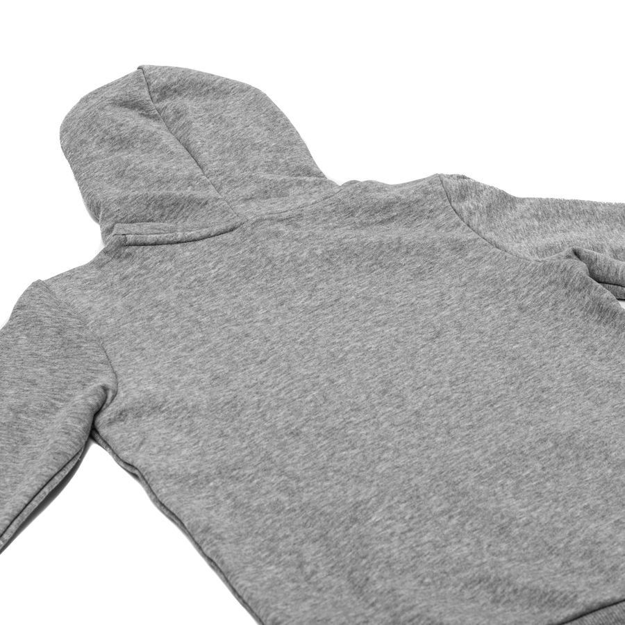 PUMA Sweat à Capuche teamGOAL 23 Casuals - Gris/Noir Enfant