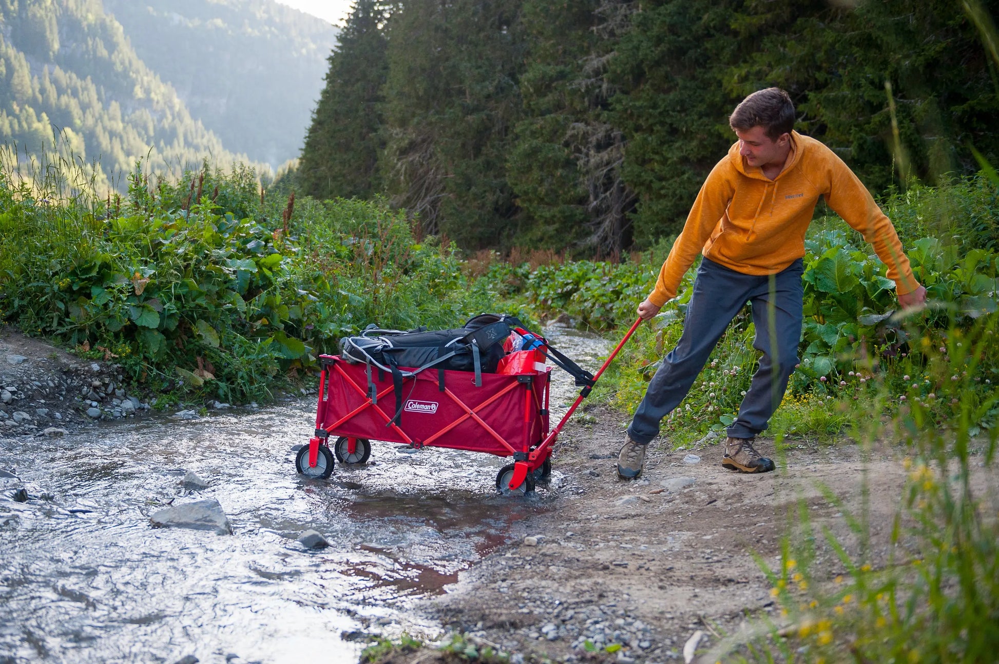 Camping Wagon Bollerwagen