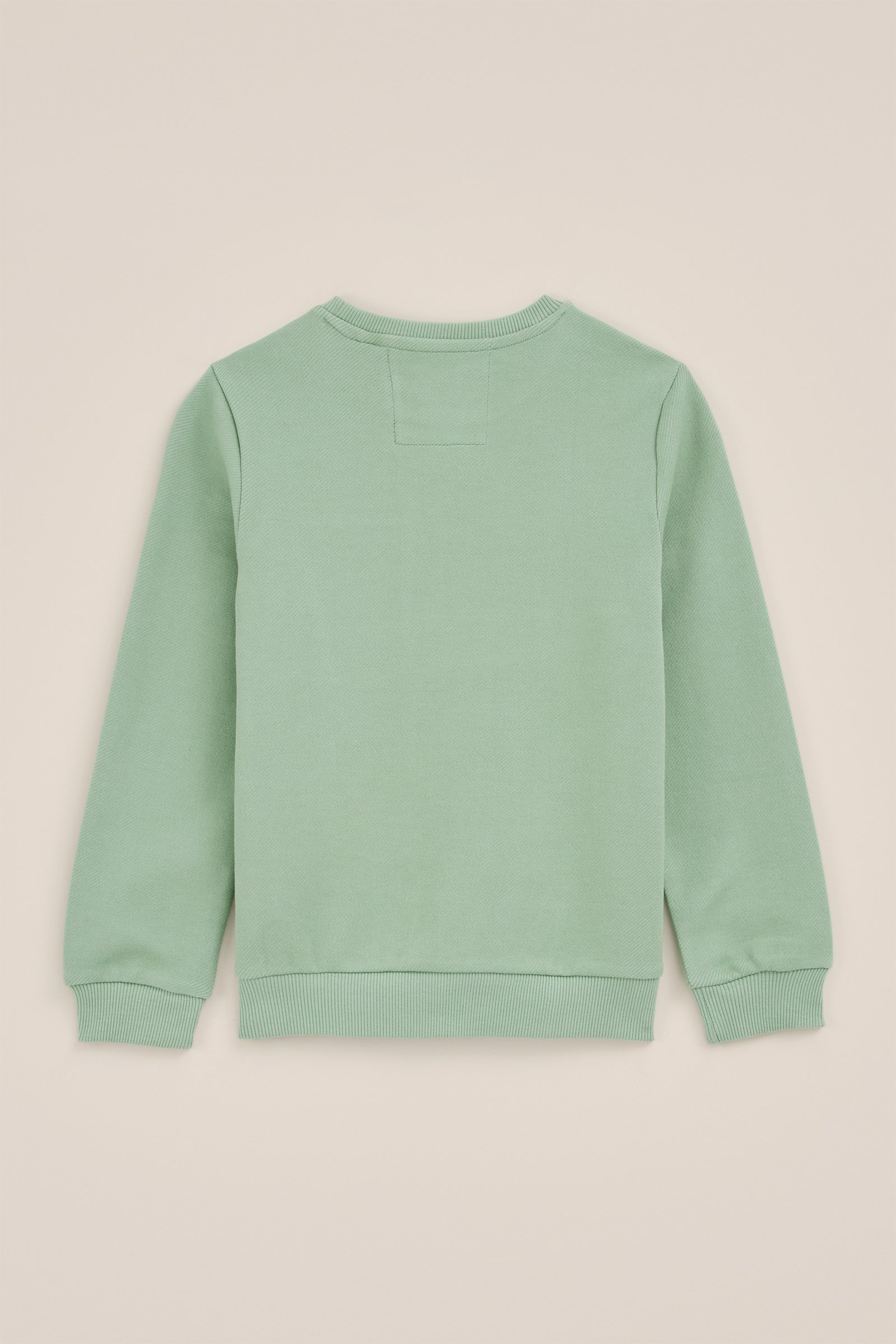 Jongen trui met structuur Blue Ridge Pastelgroen