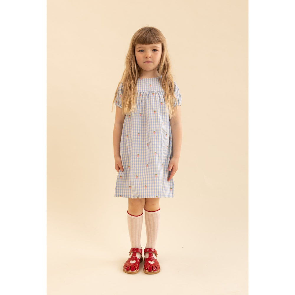 Køb Flöss Sky Berry Gingham Mille SS Kjole