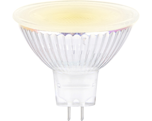 FLAIR LED reflectorlamp dimbaar MR16 GU5.3/3W (22W) 230 lm 2700 K warm wit helder 36° 12V