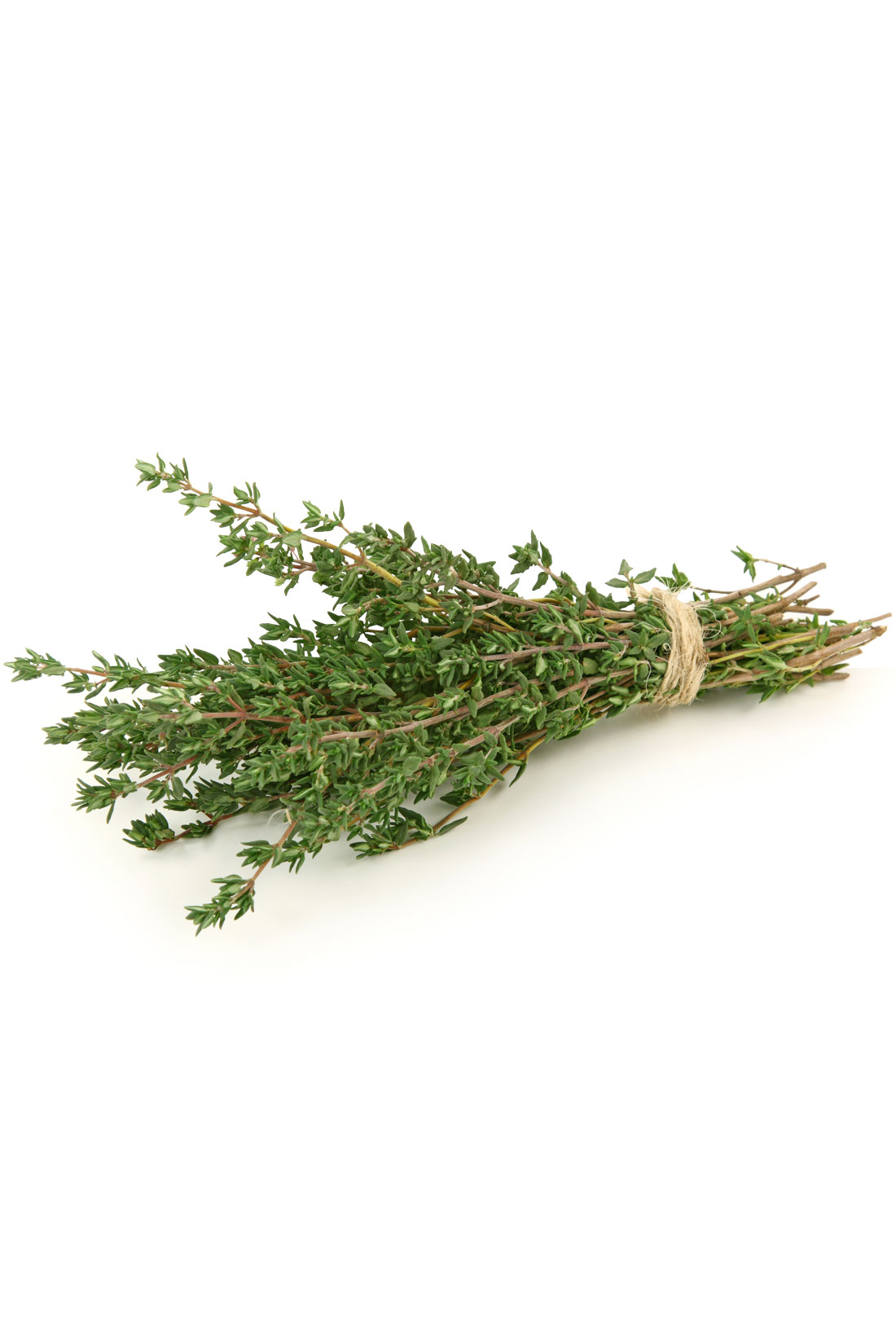 Huile de thym  Thymus vulgaris