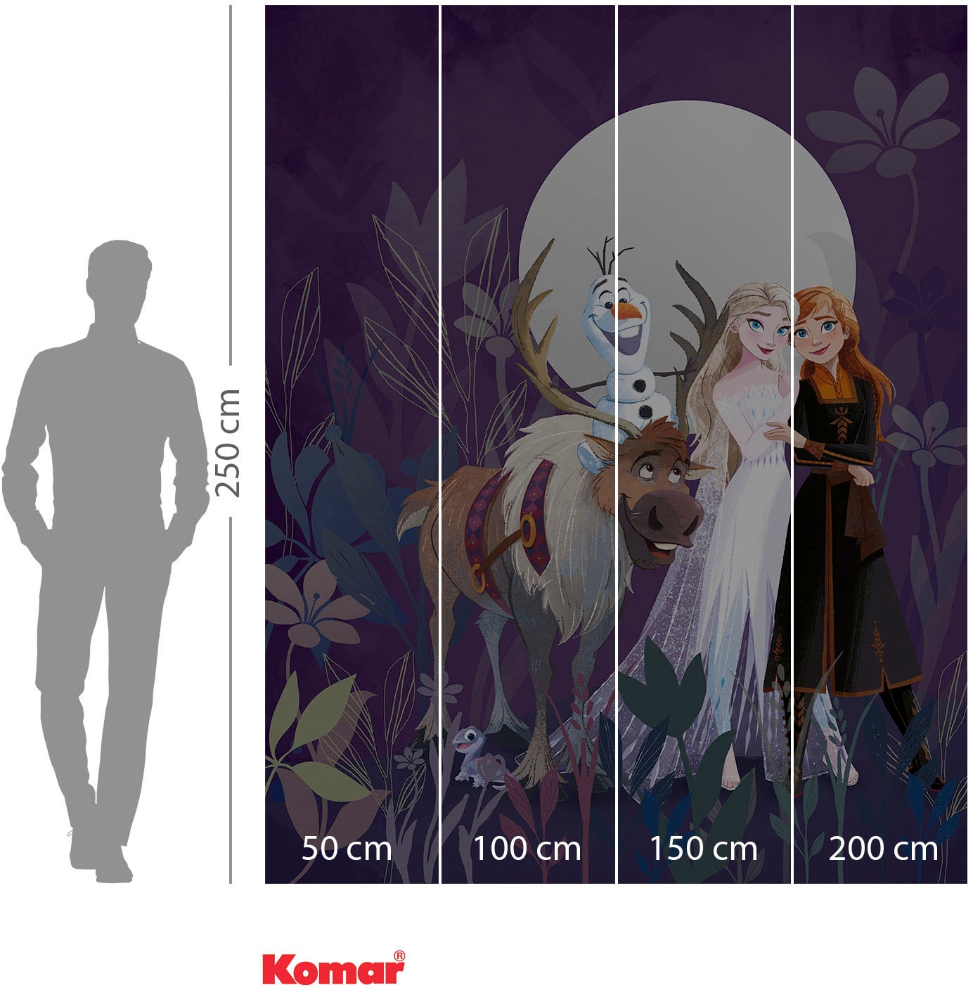 Komar Fototapete »Digitaldruck Vlies -  Frozen Full Moon Hike - Grösse 200 x 250 cm« bedruckt glatt Kinderzimmer