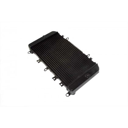 Radiateur Brazoline A EAU ADAPTABLE