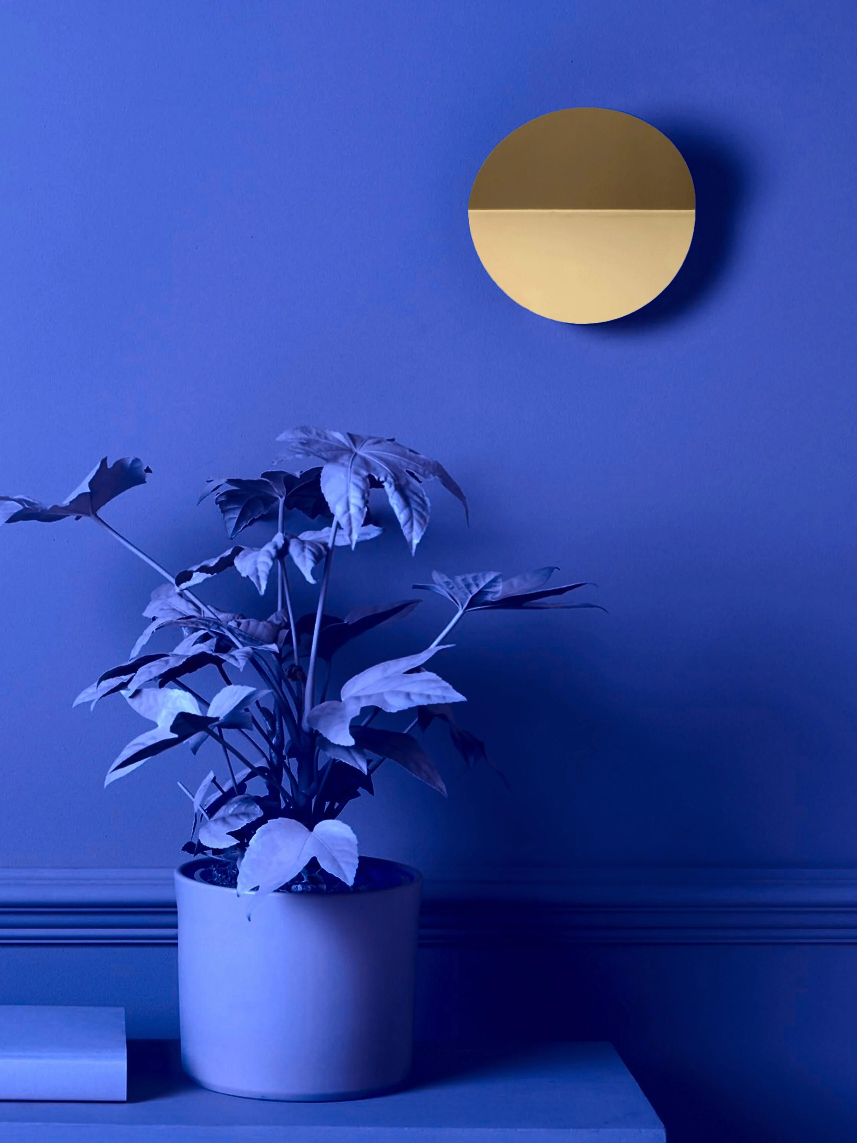 LED wandlamp Ring