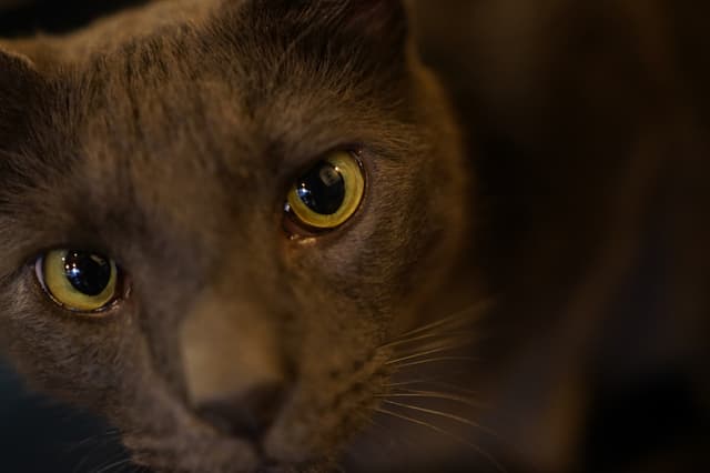 Sony FE 35mm f/1,8 objektiv