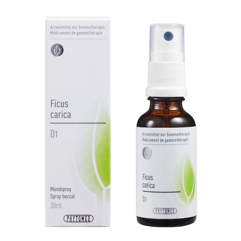 PHYTOMED Ficus carica liq 1 D Spr 30 ml