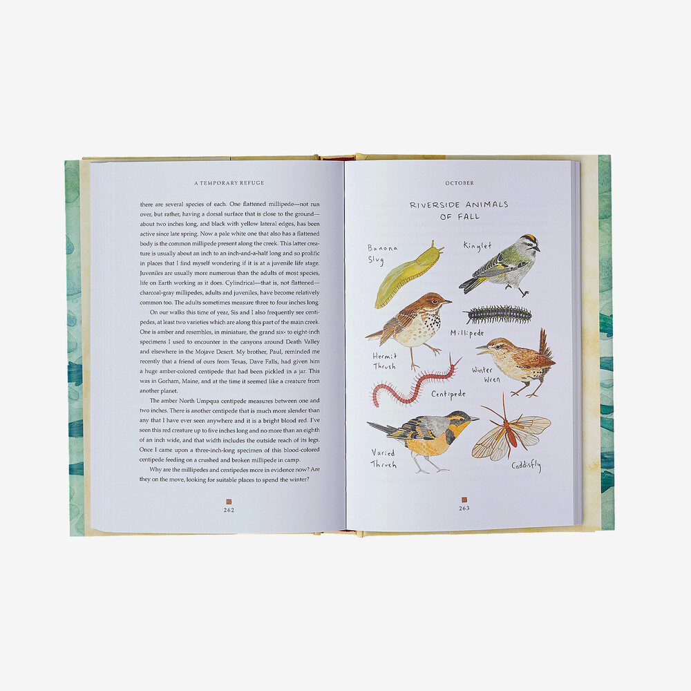Ein vorübergehender Zufluchtsort: Vierzehn Saisons mit wilden Sommer-Stahlkopfforellen von Lee Spencer (gebundenes Buch)