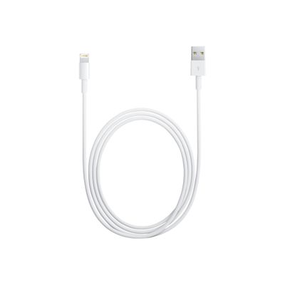 Apple câble Lightning - Lightning / USB - 1 m