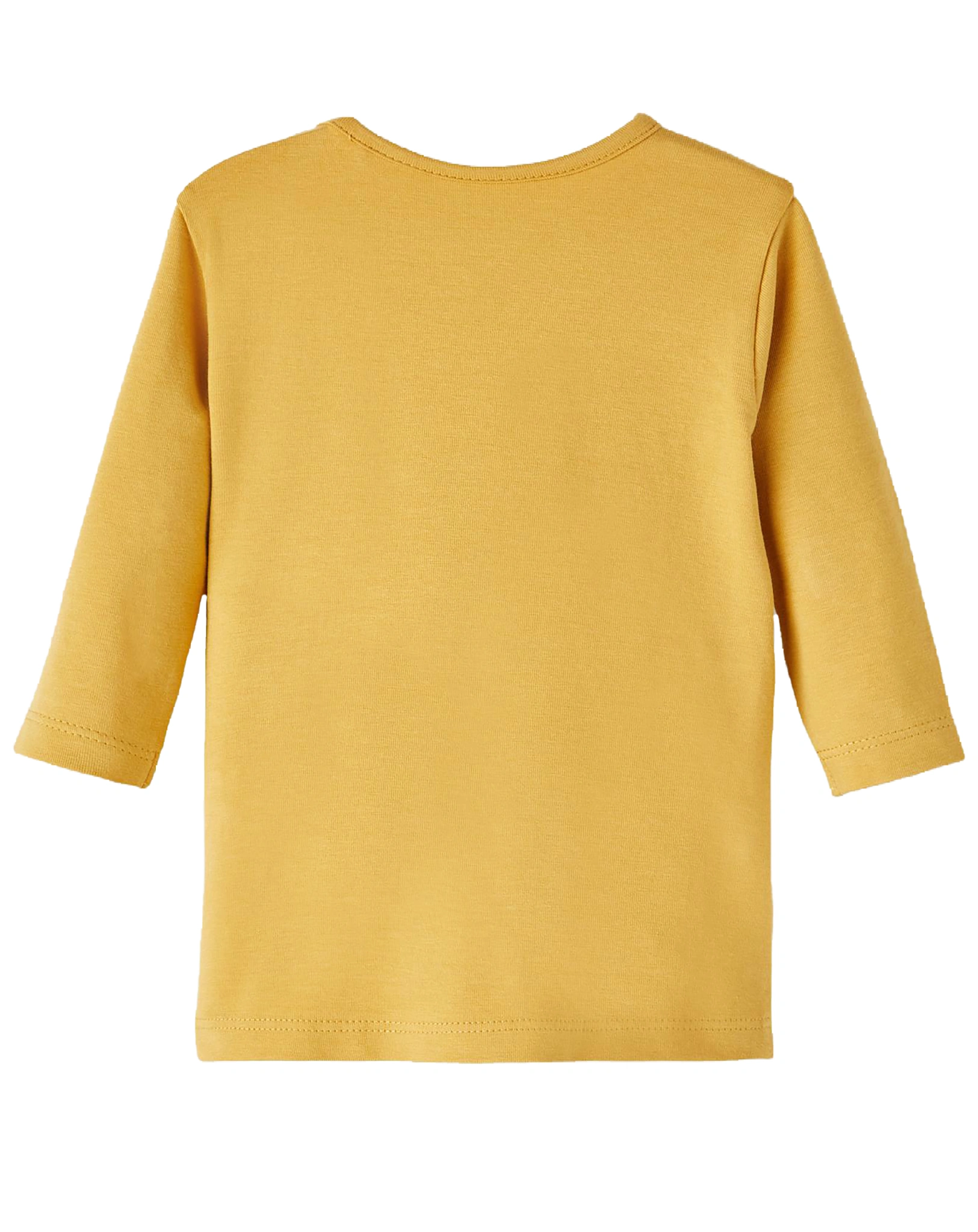 Jersey-Langarmshirt NBMTUMMY BABY DINO in amber gold