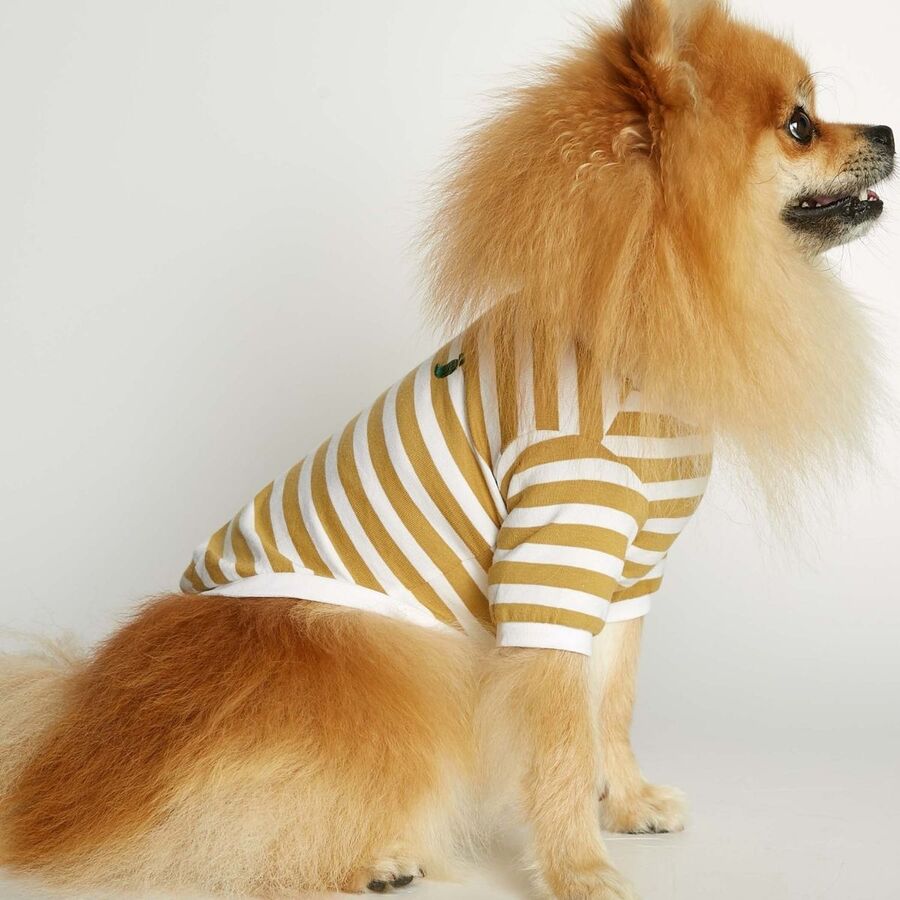 Camiseta David