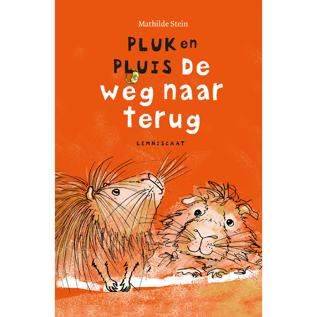 Lemniscaat pluk en pluis - de weg naar terug