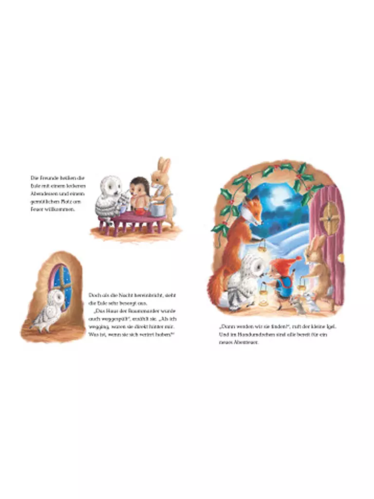 BRUNNEN VERLAG Buch - Der kleine Igel und das besondere Weihnachtsgeschenk keine Farbe