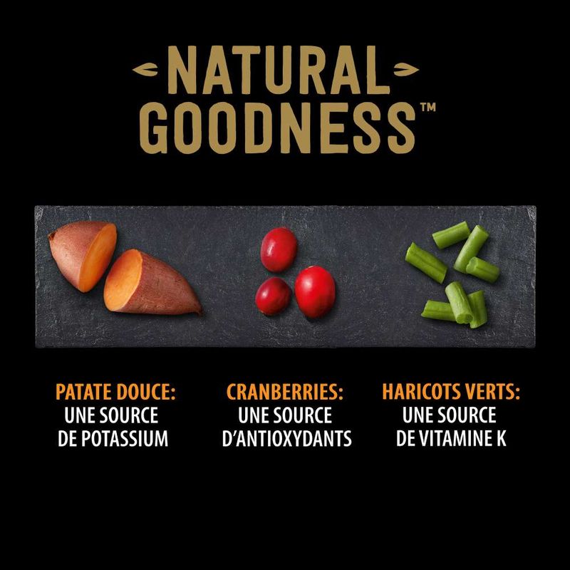 Cesar Natural Goodness pour chien