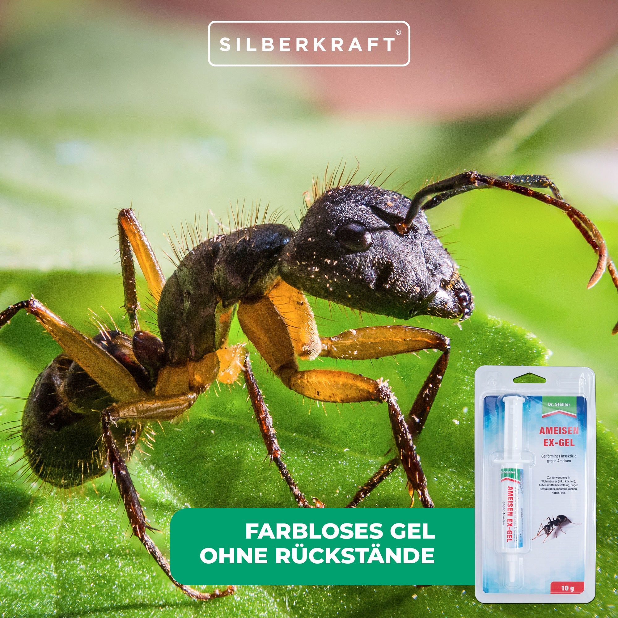 SILBERKRAFT Ameisen- Ex Gel