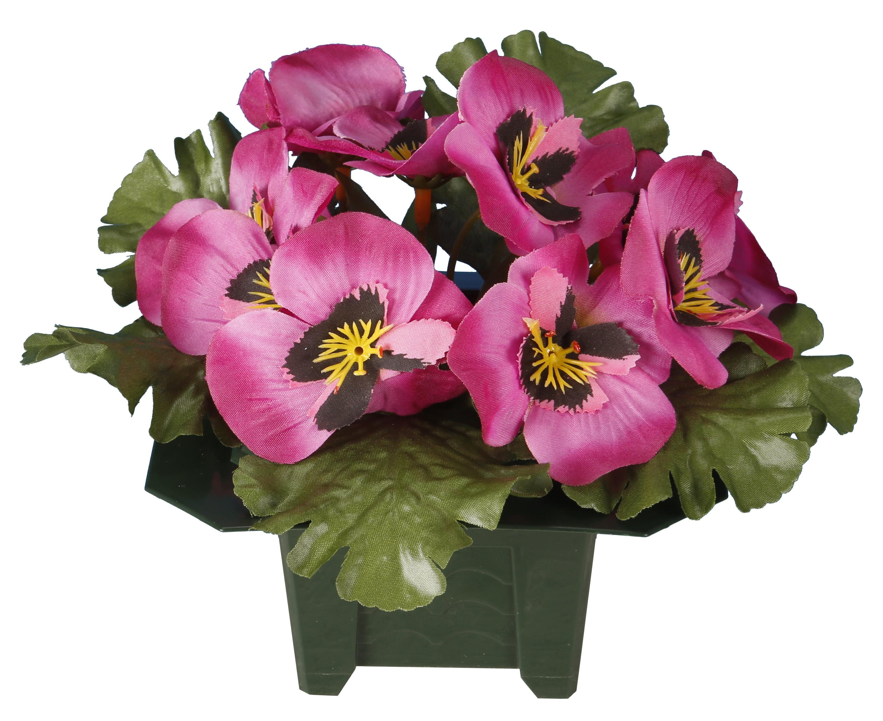COLUMBARIUM POT PENSEES