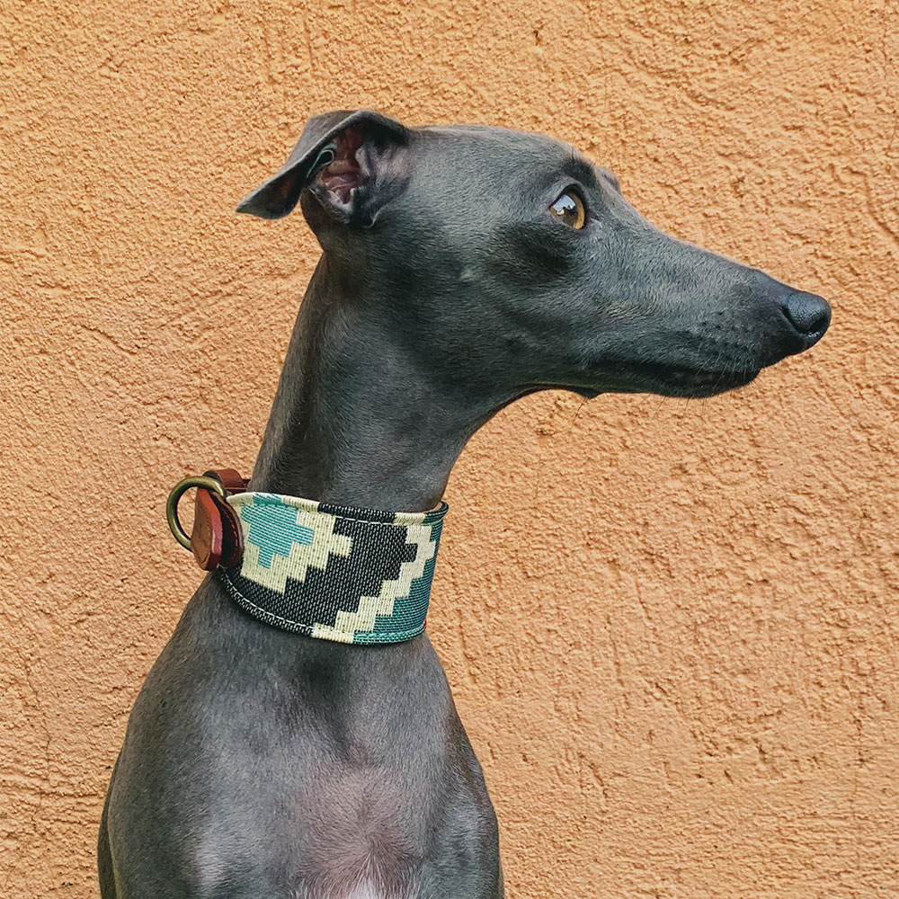 COLEIRA PLUTO PARA GALGO - G