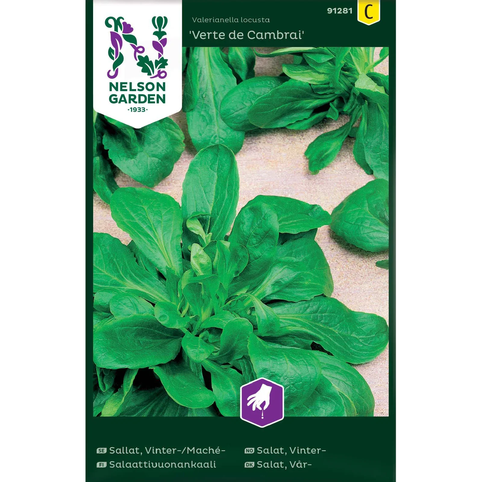 Valerianella locusta Vintersalat 'Verte de Cambrai'