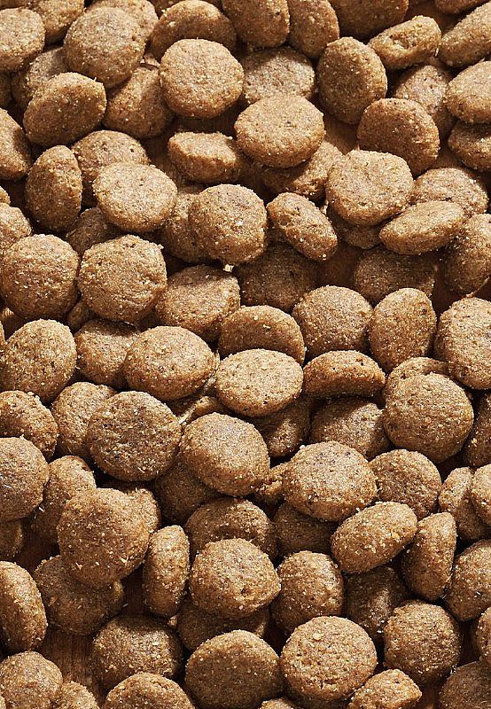 Vet-Concept L-Protect Hond 3 kg