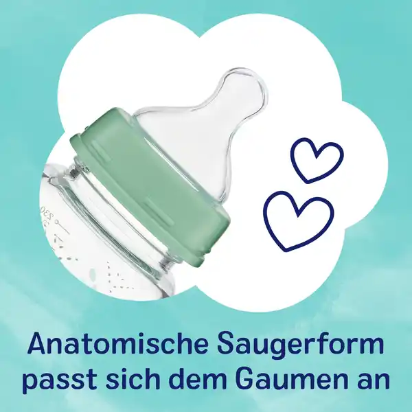 Glas WH-Flasche 230 ml