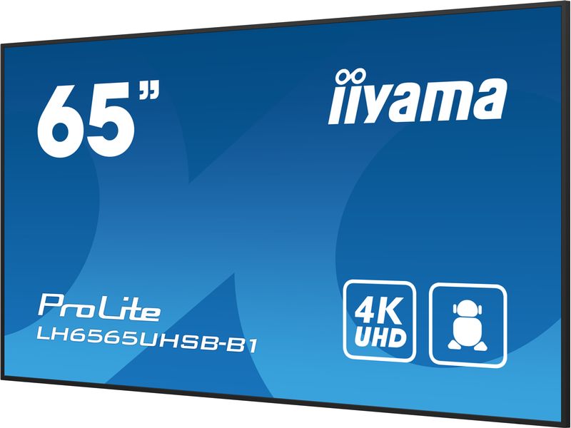 iiyama Public Display Pro Lite LH6565UHSB-B1 64.5 