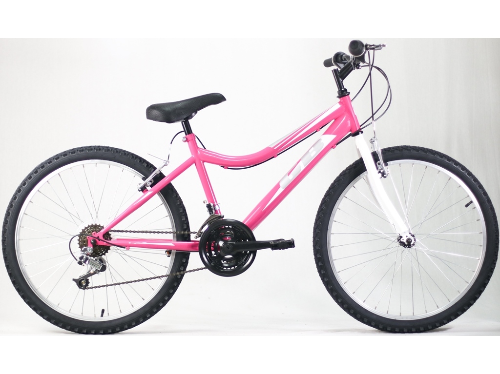 BICICLETA GOLDBIKE 24\