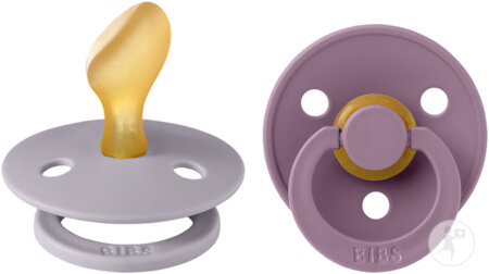 Bibs 2 Tétines Anatomic Duo Fossil/Mauve 2 Pièces