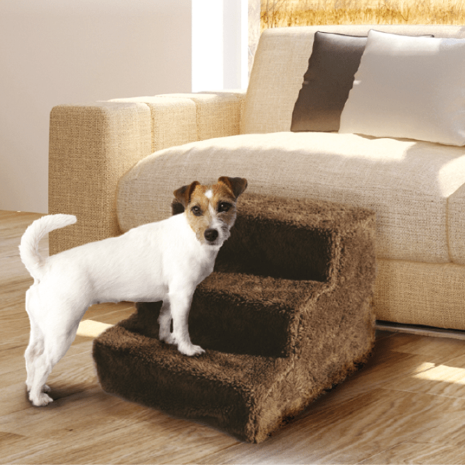 Hundetreppe
