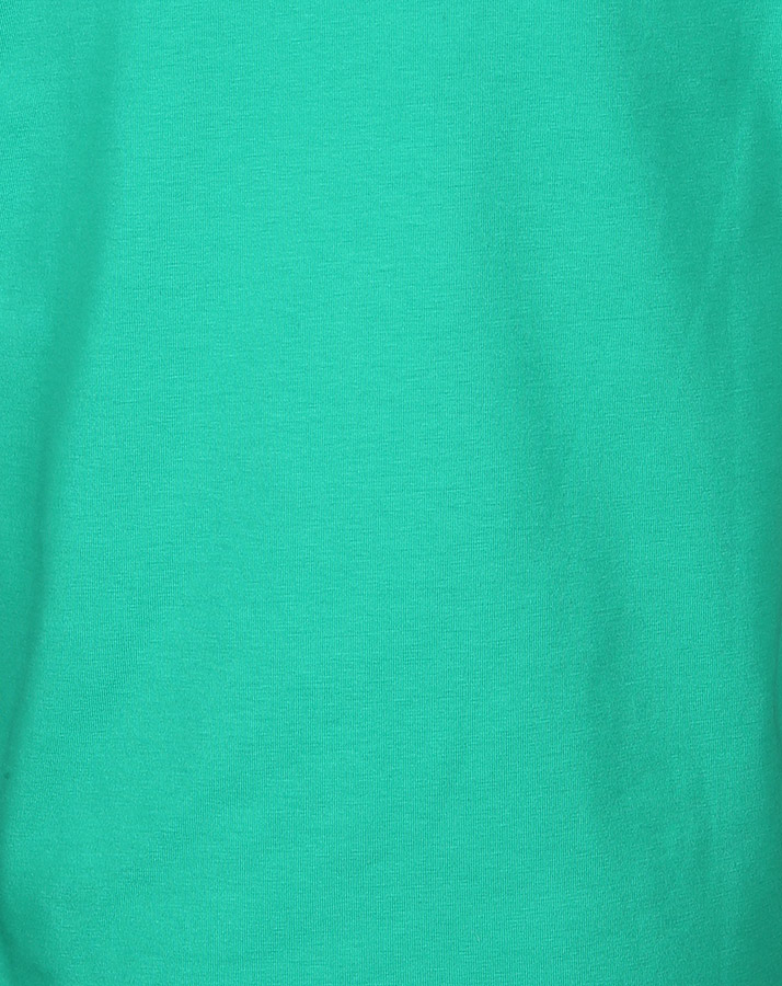 T-Shirt NEW YORK DINO in grün