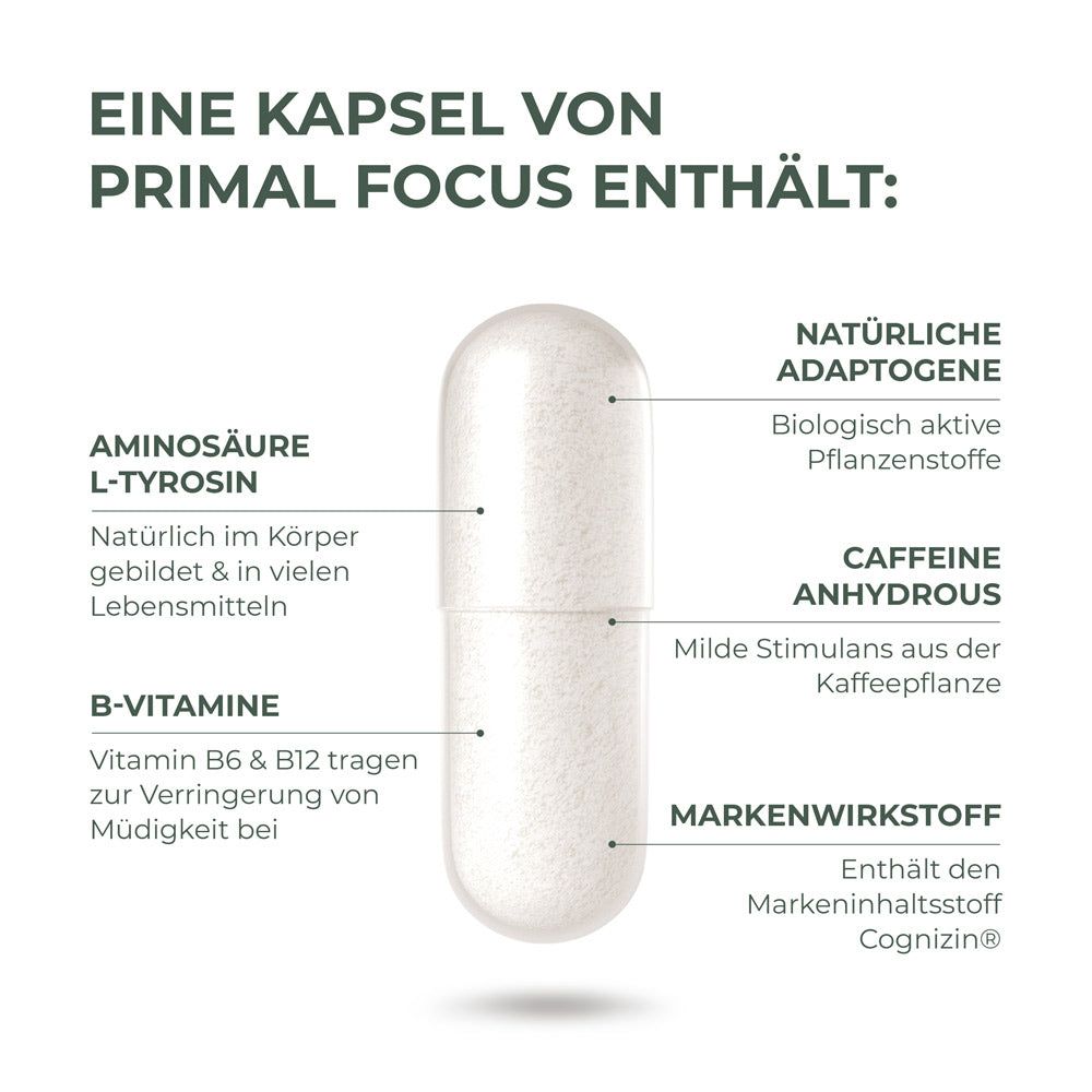 Primal Focus Kogni Boost von Primal Harvest®