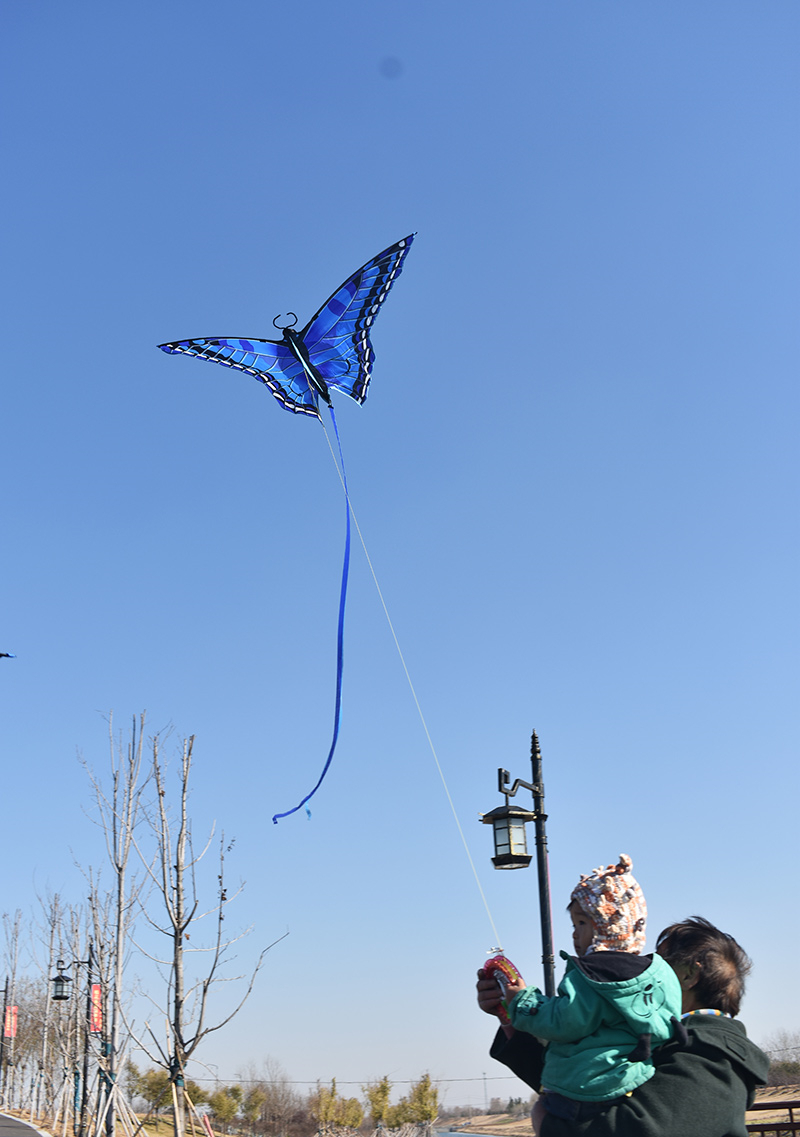 (1.4m) Flug Drachen Herbst Spielzeug Outdoor Schmetterling Flugspielzeug - Blau