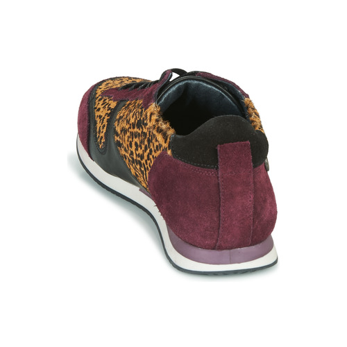Pataugas - IDOL/I F4E - Bordeaux / Leopard