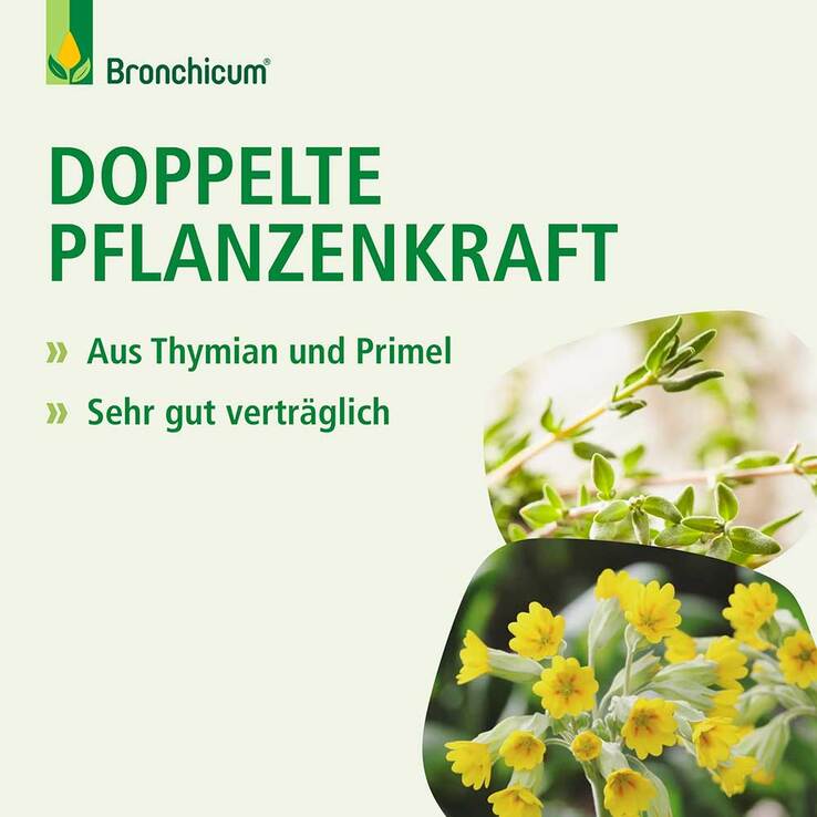 Bronchicum® Tropfen, 100 ml