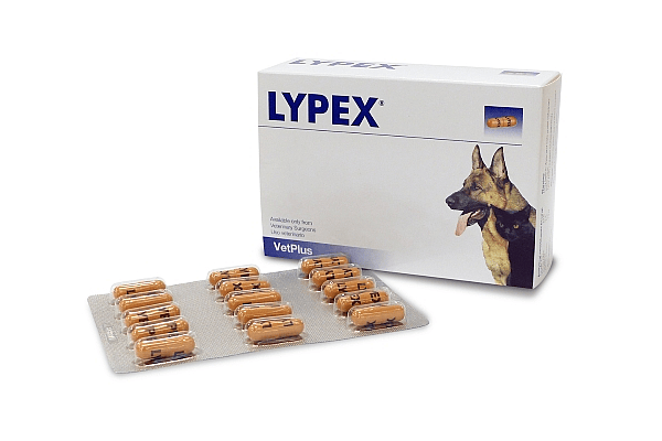 Vetplus Lypex Alvleesklier Hond Kat 60 capsules | 11016