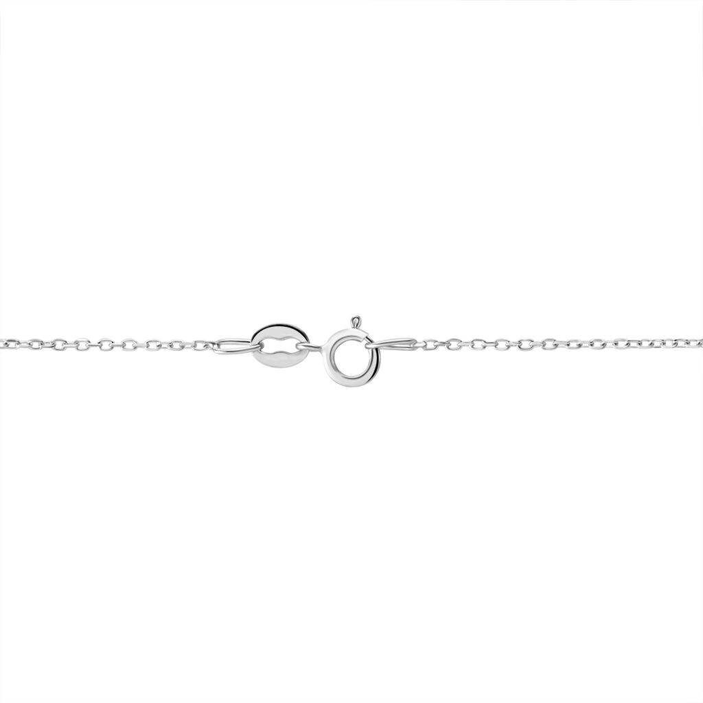 Chaîne Igoa Maille Forçat Diamantee Or Blanc