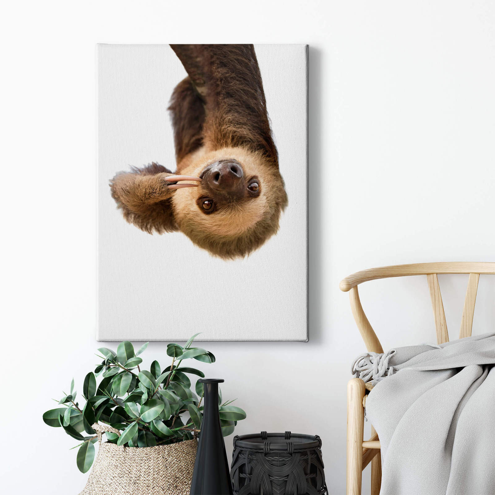 Leinwandbild FAULTIER - braun - 50x70 cm