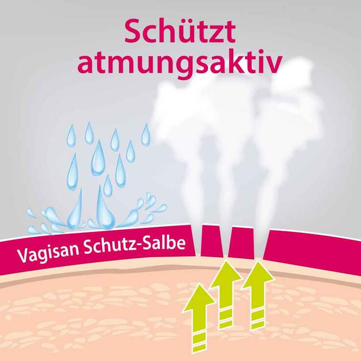 Vagisan Schutz-Salbe , 2x75 ml