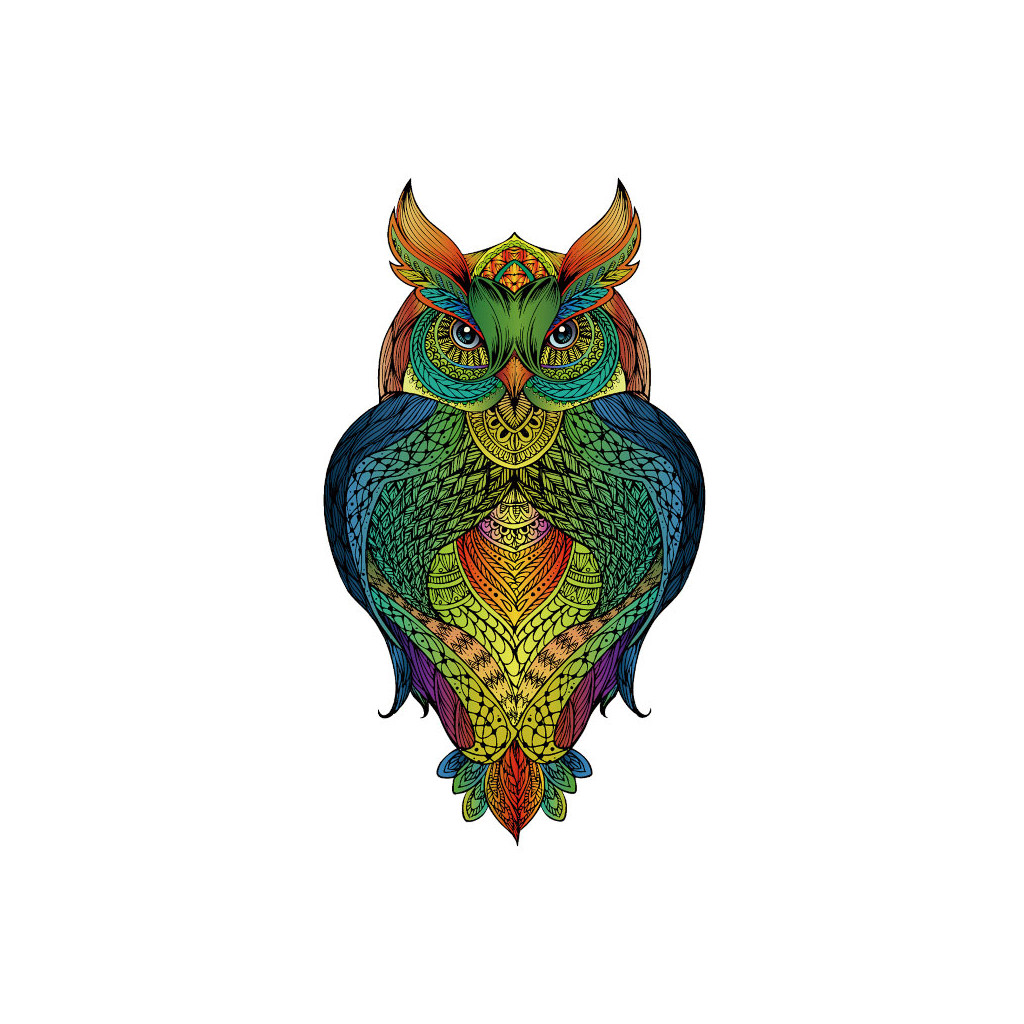 Rainbow Puzzle en bois - Hibou - 137 pièces