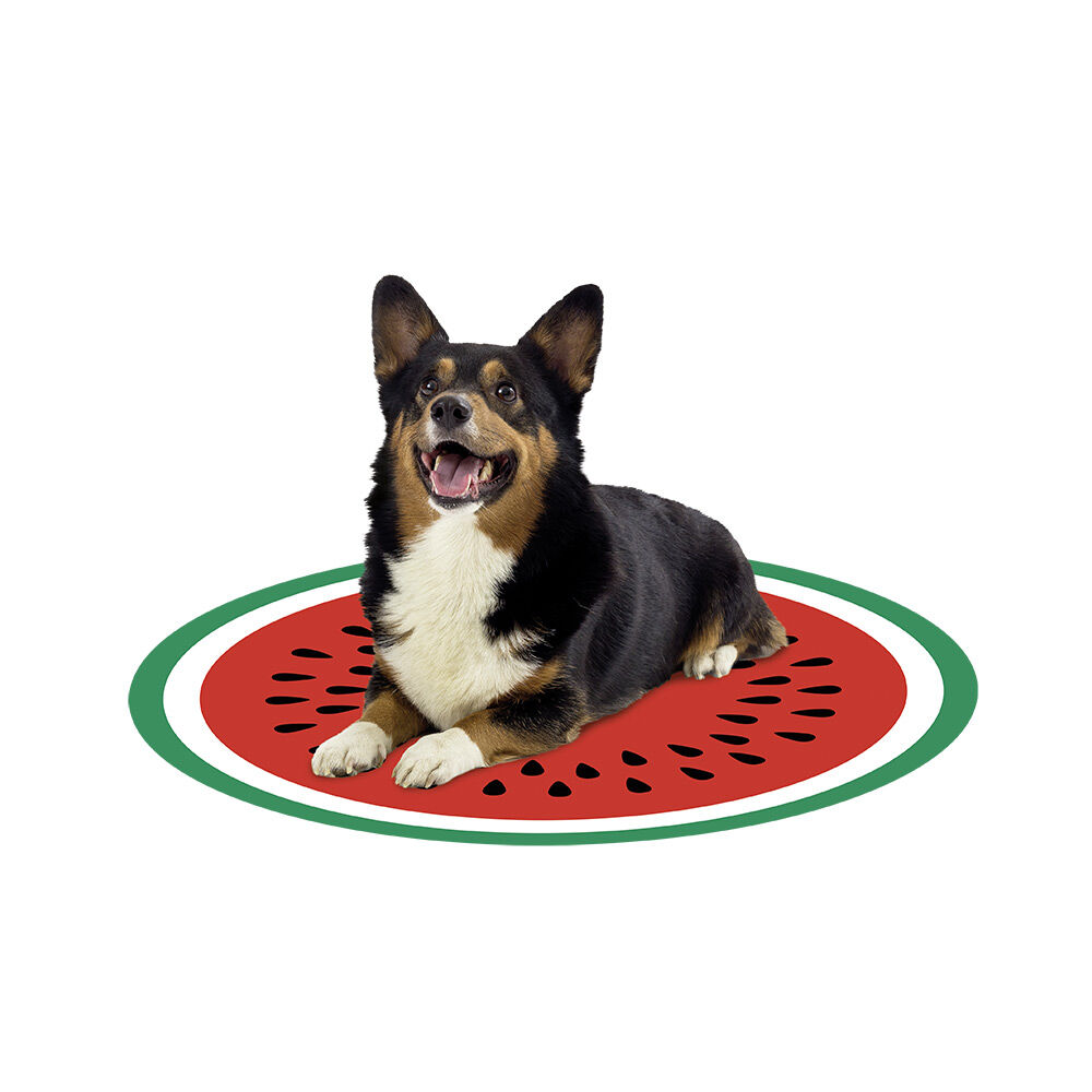 Matelas rafraîchissant pour chien design fruit Ø60cm