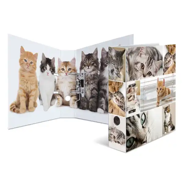 Motiv-Ordner A4 Animals Katzen