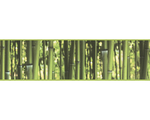 Rand 9036-17 Alleen Randen 8 zelfklevend bamboe groen 5 m x 17,7 cm