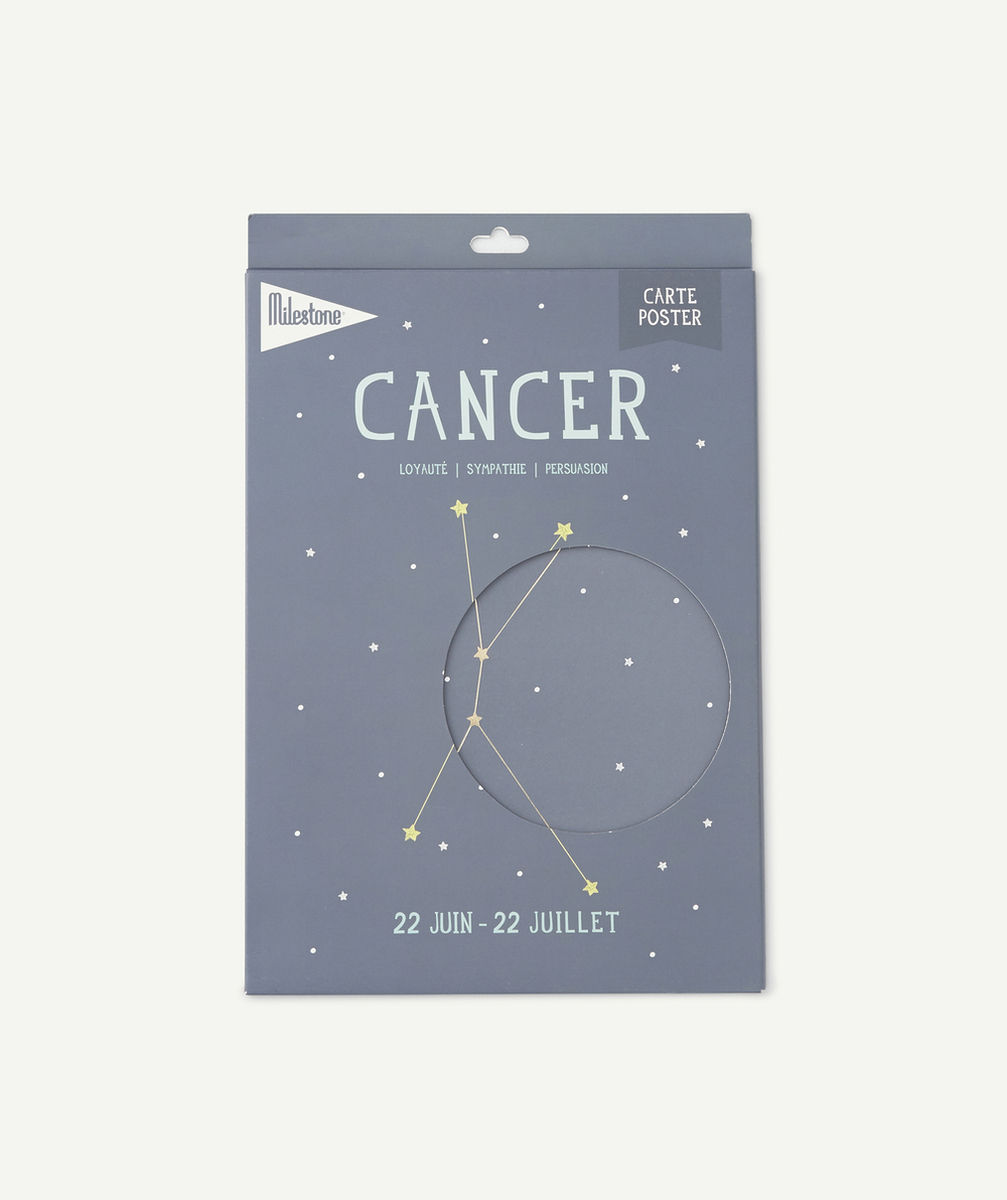 MILESTONECARTE POSTER ZODIAC CANCER BÉBÉ