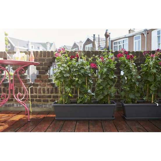 Jardinière barcelona xl en plastique gris anthracite - 78,5x25,1x20,2