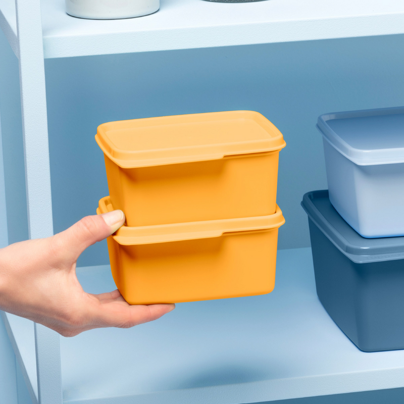 Basic Line 500 ml Der Behälter zum Frischhalten und Aufbewahren