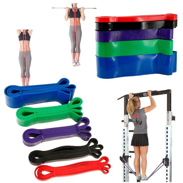Pedigree - Sportbestendige Band