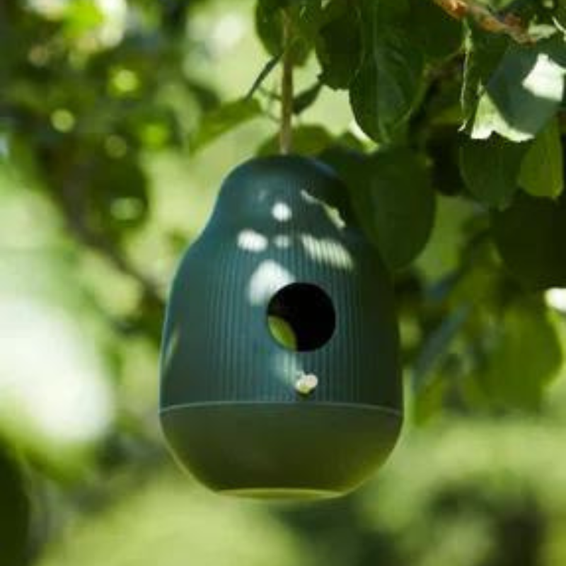 Nichoir à oiseau sauvage vert en bambou
