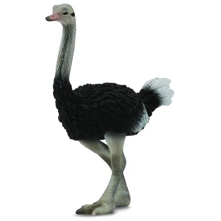 Collecta Strauß Vögel