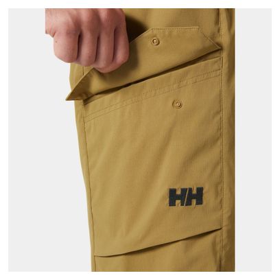 Short de Randonnée Helly Hansen Vista Hike Brun